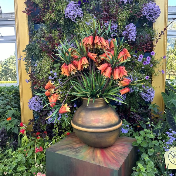 Meet your Posher, Susane - Picture 9 of 17